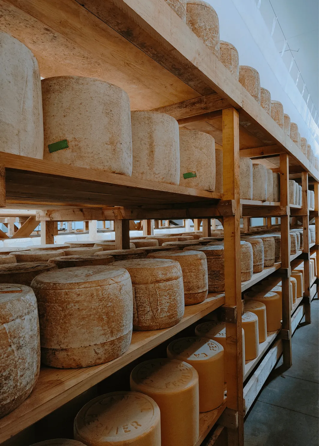 Cave d'affinage de la Ferme de Ferrand
